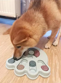 Gamelle Interactive pour Chien – Nourrissez et stimulez l'appétit