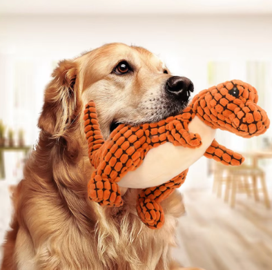 Peluche DINO pour chien - Un jouet robuste et amusant