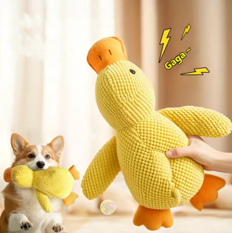 Peluche pour chien - Canard – irrésistible et réconfortant - antistress