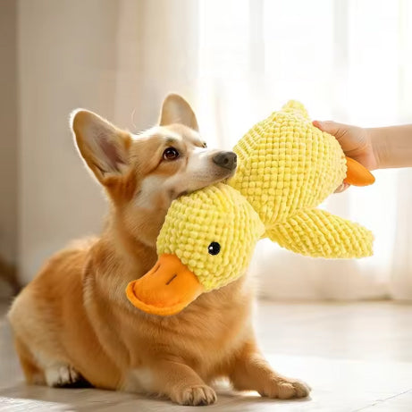 Peluche pour chien - Canard – irrésistible et réconfortant - antistress
