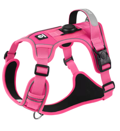Harnais GPS anti traction pour chien – Contrôle, confort et sécurité en promenade