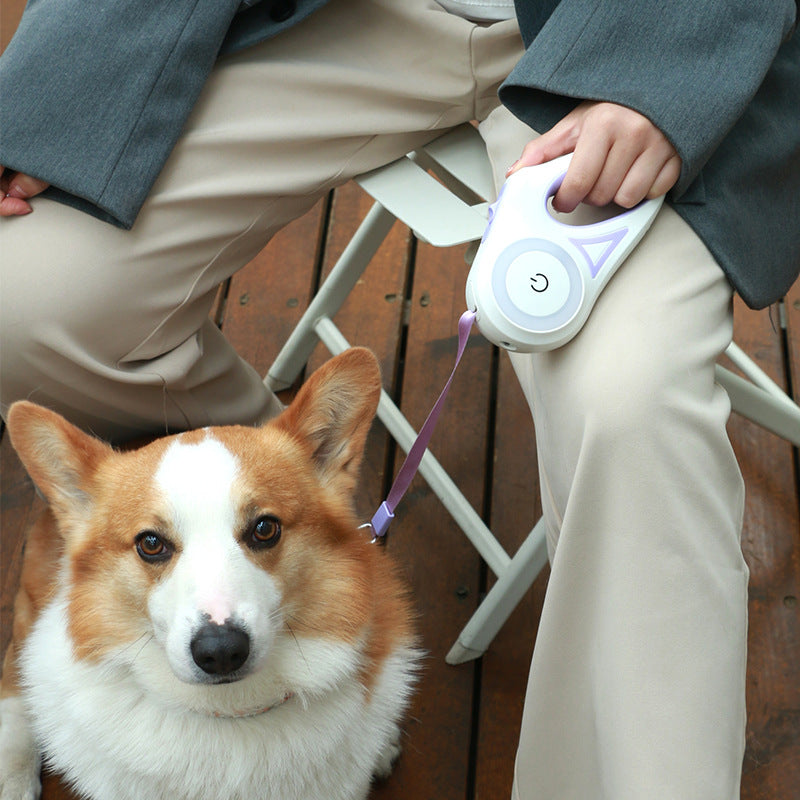 Laisse Rétractable fluorescente pour chien - confort, liberté de mouvement, contrôle total