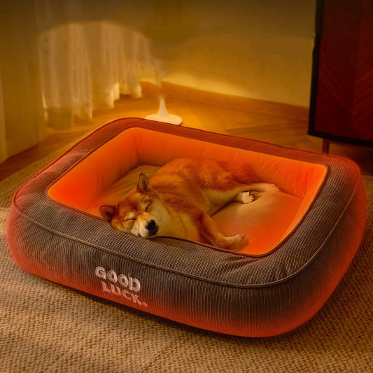 Lit Chauffant pour chien frileux – Confort thermique - spa