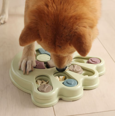 Gamelle Interactive pour Chien – Nourrissez et stimulez l'appétit