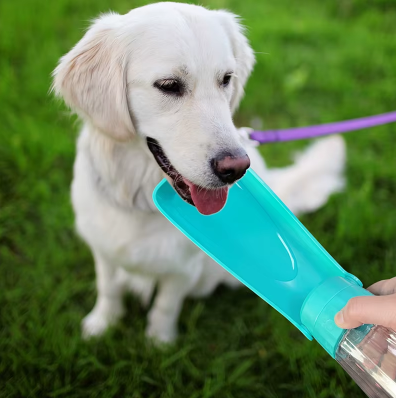 Gourde ergonomique pour Chien – Hydratation facile, partout et à tout moment