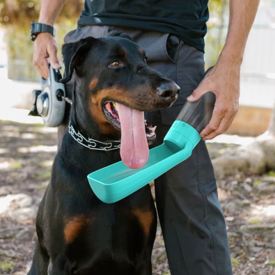 Gourde ergonomique pour Chien – Hydratation facile, partout et à tout moment