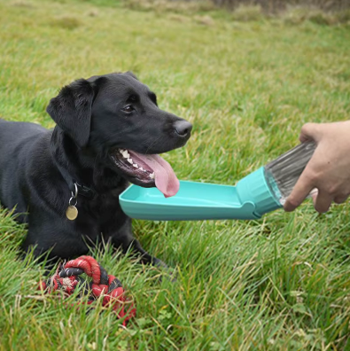 Gourde ergonomique pour Chien – Hydratation facile, partout et à tout moment