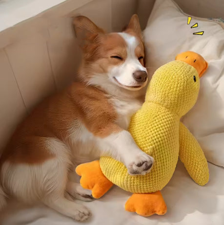 Peluche pour chien - Canard – irrésistible et réconfortant - antistress
