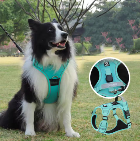 Harnais GPS anti traction pour chien – Contrôle, confort et sécurité en promenade