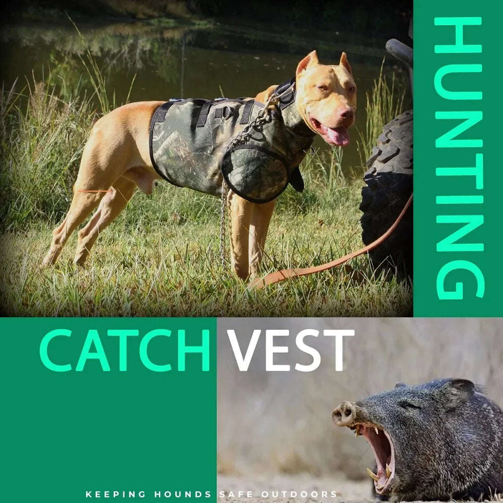 A0b4998b182f042409d7f3baff03b8463m