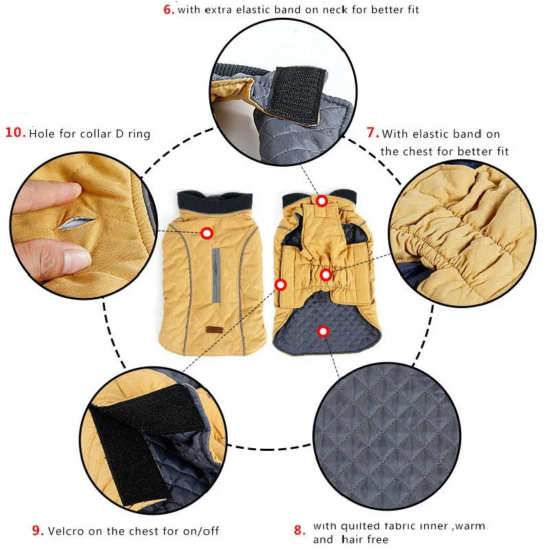 HTB1NHaxDx1YBuNjy1zcq6zNcXXan