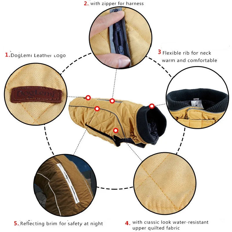 HTB1z4sEu5CYBuNkSnaVq6AMsVXay