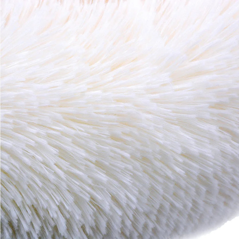 Sc007bb53ca254bf2a84fbd111dad35509