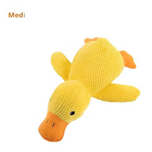 cc58680e-a3db-4b2b-ace3-67cb99073ae4